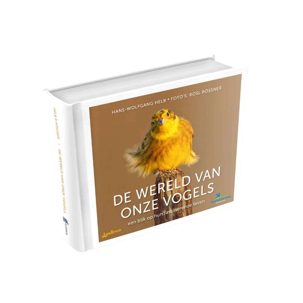 Productafbeelding 1