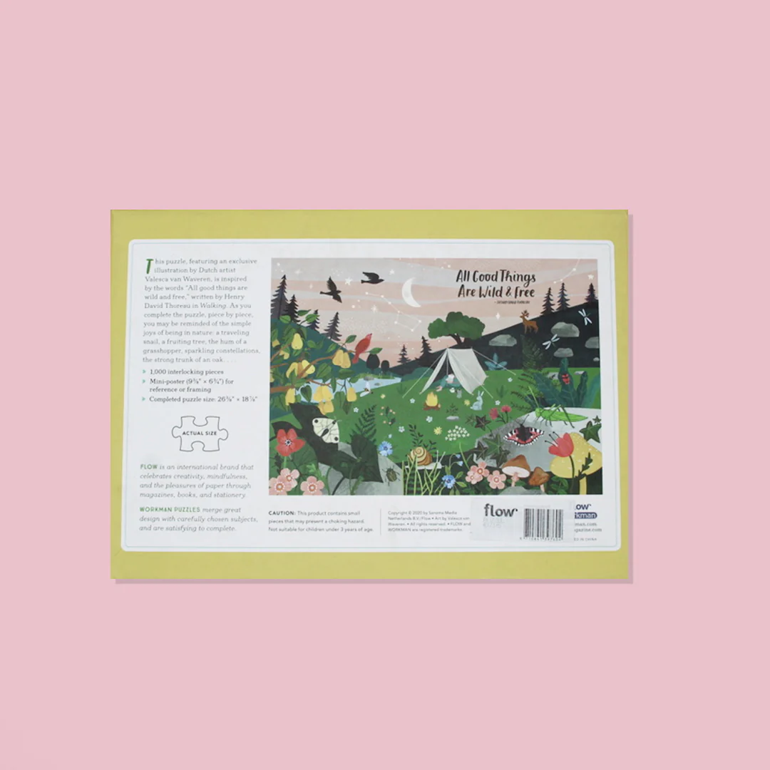 Miniatuur 3