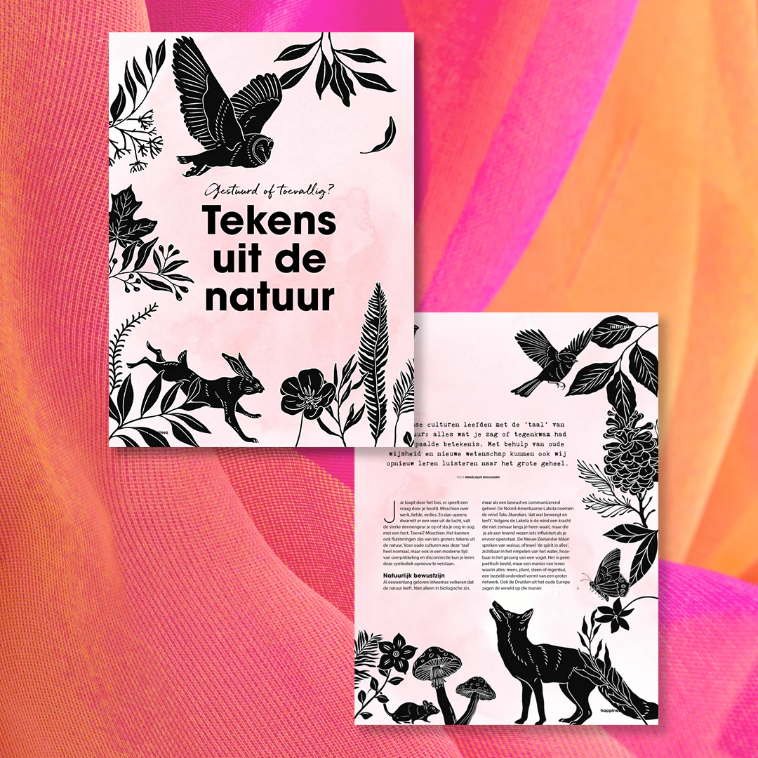 Miniatuur 3