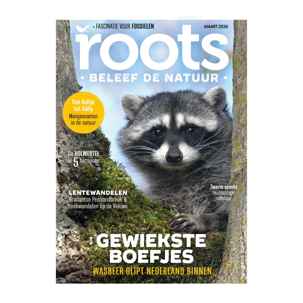 Productafbeelding 1